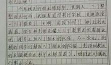 二年级作文夏天的雨