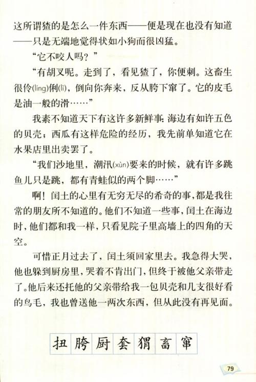 阅读后少年Runtu的想法