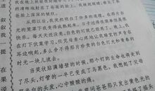 漂亮的小台灯作文