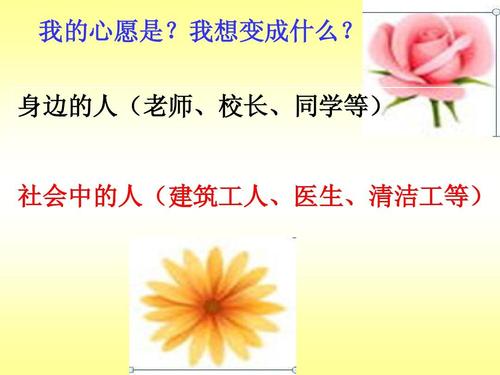 如果我是校长500个单词