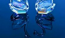 假如我是校长600字