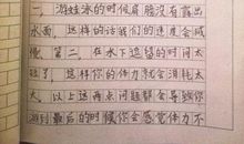 游泳的乐趣作文