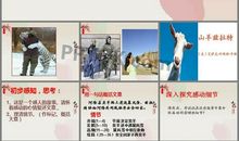 山羊兹拉特读后感