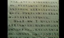 假如我是一棵树作文