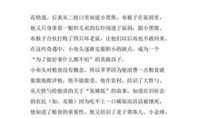 《小布头奇遇记》读后感