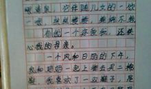 有关父爱的作文