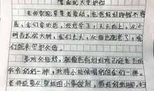 关于我的心愿的作文