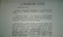 最美的散文读后感