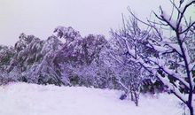 关于冬天雪花的作文