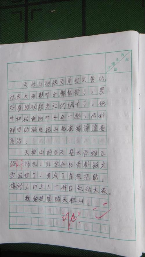 800字作文