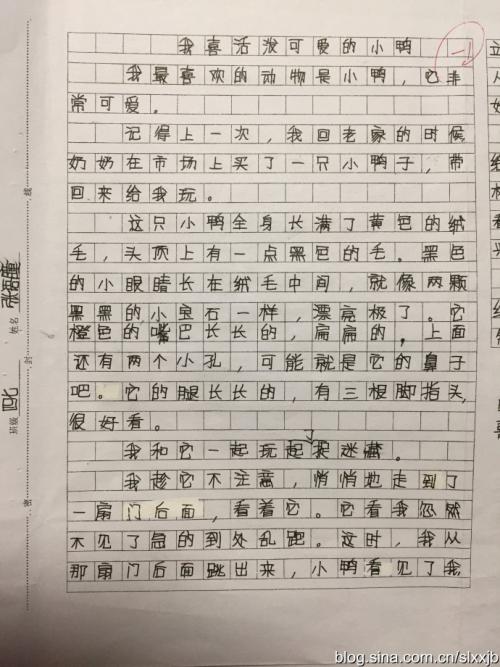 我喜欢夏天的作文