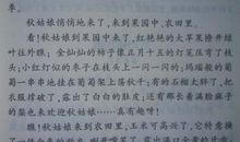 三年作文美丽的秋天