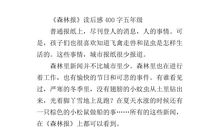 森林报秋的读后感