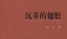 沉重的翅膀读后感