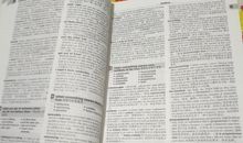 字典的自述作文