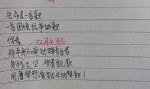 生命与和平相爱读后感