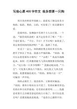 我的愿望400字