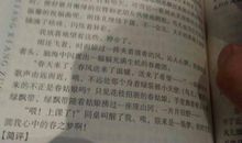 五一趣事作文250字