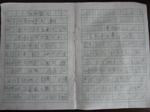 小学生日日记（100字）