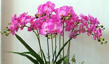 大学的时间花在哪儿