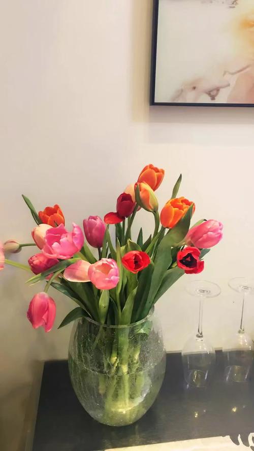 关于老舍养花的思考