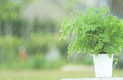 关于阅读《江南春尽》的思考