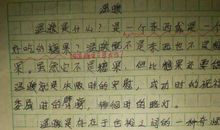 妈妈的温暖作文