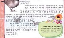 我们的知识是有限的读后感