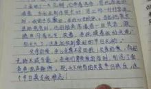 关于爱的初二作文