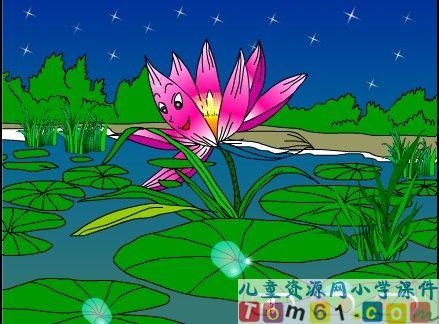 夏夜美丽的组成