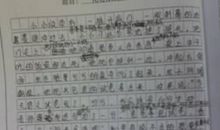 父亲的手作文600字