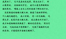 故乡的味道作文