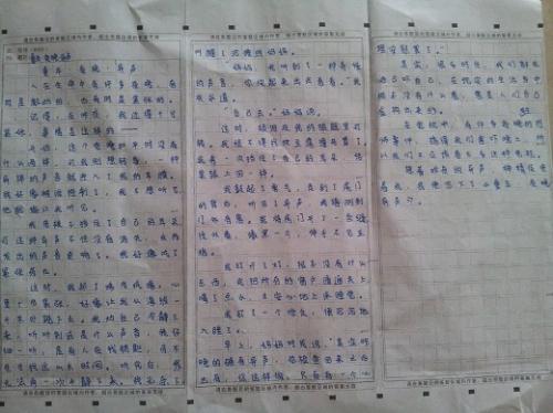 700个单词写夏天的风景