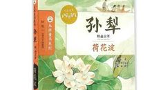 荷花淀读后感