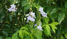 青云谱随想读后感