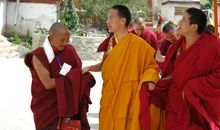 《西藏一年》读后感