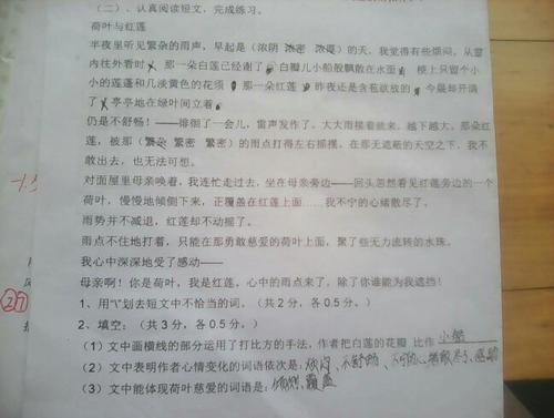 看完荷叶和红莲后