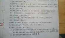 荷叶与红莲读后感