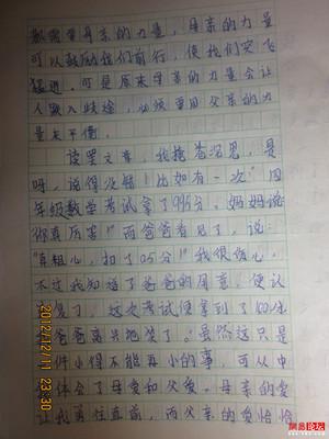 800字的关怀组成
