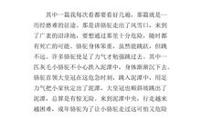 《骆驼王子》读后感