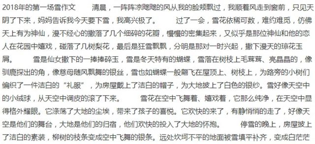 300字写雪景