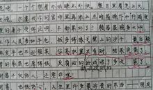 梅花的作文600字