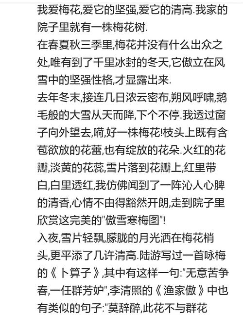 500个词描述梅花