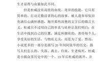 小猫杜威读后感