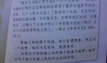 梅花的作文500字