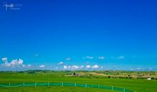 内蒙古大草原作文