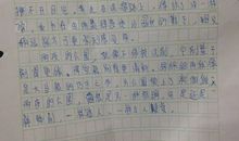 关于夏雨的作文