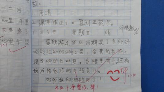 每周日记100字