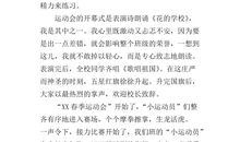 运动会有感作文600字