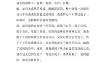 成长的滋味读后感